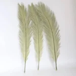 PPL59 Sago Cycas Leaf Pinnate Leaf Cycas Revoluta Thumb Preserved Flowers Sago Palm Leaves Dried for Wedding Decoration Popular
