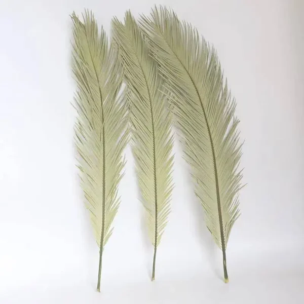 PPL59 Sago Cycas Leaf Pinnate Leaf Cycas Revoluta Thumb Preserved Flowers Sago Palm Leaves Dried for Wedding Decoration Popular