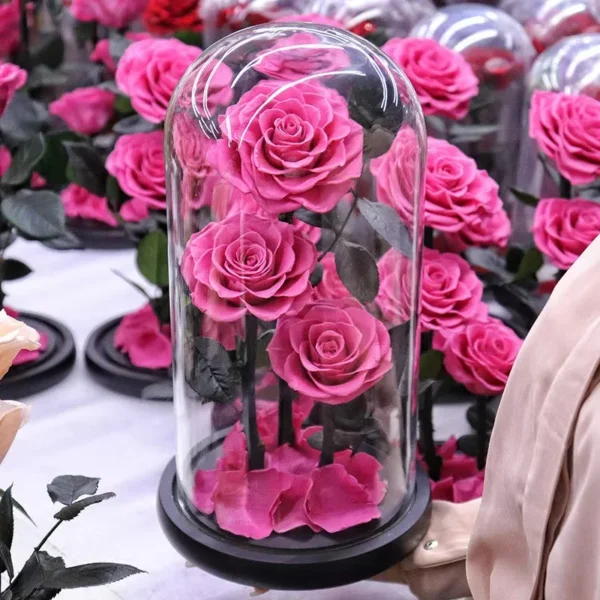 High-grade Gift Boxed Preserved Roses in Glass Dome Creative Gift Ideas Mother's Day San Valentines Day Girlfriend Wife Gift