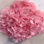 PHA03 Large Leaf Hydrangea 13 Color Naturally Preserved Hydrangea Large Leaf Series for Decorative Flower Arrangement