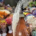 PPL14 Cymbopogon Distans Preserved Long Haired Plants for Flower Arrangement Are Truly Natural Plants - Image 6