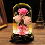 Wholesale Royal Blue Preserved Rose Flower in Glass Dome with Light Wooden Base for Bedroom Christmas Decor