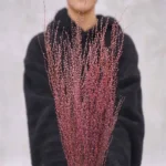 PPL26 Fontanesia Eternal Plants Flower Arrangement Preserved White Snow Willow Branch Willow Tree Branches - Image 3