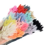 PPL30 Hare Tail Grass Hot Sell a Grade Real Natural Hare Dried Flowers Bunny tails Grass Dried Flower Pallas Grass - Image 3