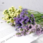 PPF17 Myosotis Alpestris Dry Forget Me Not Flowers Natural Preserved Do Not Forget Me Flowers Real Flower for Wedding Decor - Image 6