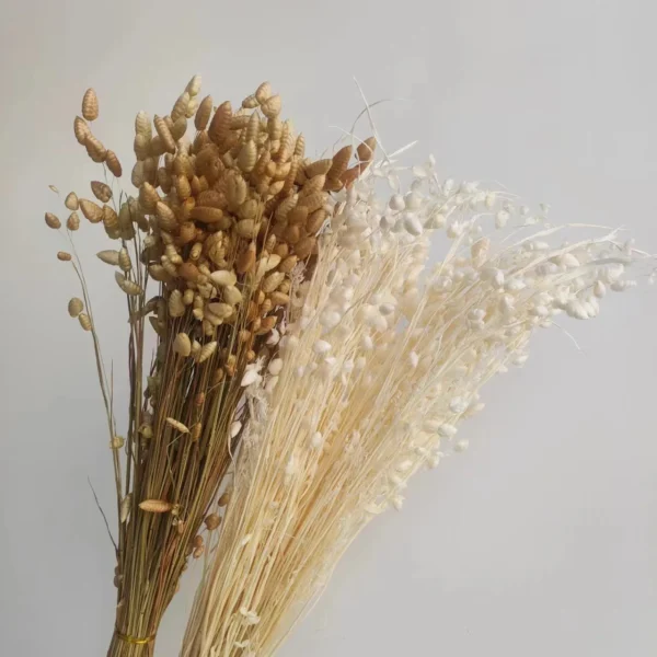 PPF23 Stachys Geobombycis Dried Flowers Handmade Preserved Natural Decorative Flowers and Plants for Wedding Home Decoration