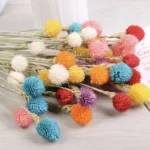 DFS60 Splicing Strawberry Fruit for Valentine's Day Graduation Christmas Thanksgiving Occasions - Image 5