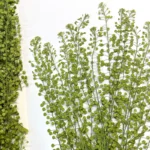 PPL37 Lepidium Apetalum Hanging Plant Ivy Hanging Garland Succulent String of Pearls for Wall Home Decor Natural Immortal Plant - Image 4