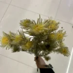 PPL34 Jinerong Floral Arrangements Natural Everlasting Straw Flower Preserved Entrnal Flowers Plant for Home Decor - Image 6