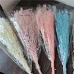 PPL37 Lepidium Apetalum Hanging Plant Ivy Hanging Garland Succulent String of Pearls for Wall Home Decor Natural Immortal Plant - Image 6