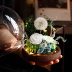 Wholesale Wedding Favor Boxes Mother's Day Gifts.flower Glass Dome. Preserved Dandelion in Glass for Valentine's Day Gifts - Image 3