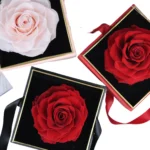 Wholesale Acrylic Flower Box Flower Acrylic Box Preserved Rose in Acrylic Box White - Image 2