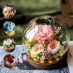 Wholesale Mother's Day Preserved Roses Long Life Lasting Real Flowers in Glass Dome With Gift Box Light Valentine's Day Gifts - Image 2