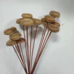 DFS53 Splicing Mushroom Dried Natural Solid Mushroom Flowers.fungus Handicrafts for Home Decor - Image 6