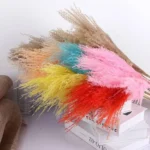 PPL47 Romantic Preserved Dried Flowers Miscanthus Saccharifleus Asparagus Virgatus for Home Wedding Decorations Mother's Day - Image 4