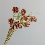 DFS57 Handmade Natural Pistachio Nuts 2024 Hot Selling Everlasting Happy Fruit Dried Flowers for Valentine's Day - Image 6