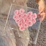 2025 Ins Hot Selling Valentine Gifts Preserved Rose in Glass Gift Box for Home/wedding Decoration Flower - Image 4