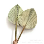 PPL40 Livistona Chinensis Pure Natural Various Forms of Air-dried Top Palm Leaves and Fan Leaves Decorative Flower Arrangements - Image 5