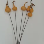 DFS51 Splicing Gourd High Quality INS Popular Natural Dried Flowers Calabash Gourd & Lagenaria Siceraria for Home Decor - Image 3