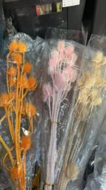 PPS08 Dipsacus Sativus Eryngium Preserved Thistle-Teasel Stalks Dried Teasel Preserved Teasel for Flower Arrangement Decoration - Image 6