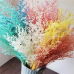 PPL42 Lover Grass Preserved Lover's Grass Bunch for Wedding Office & Party Decoration for Household Flower Arranging