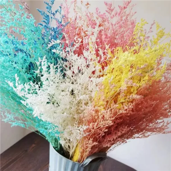 PPL42 Lover Grass Preserved Lover's Grass Bunch for Wedding Office & Party Decoration for Household Flower Arranging
