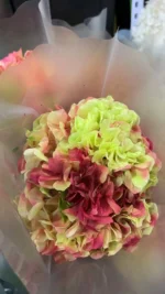 PHA03 Large Leaf Hydrangea 13 Color Naturally Preserved Hydrangea Large Leaf Series for Decorative Flower Arrangement - Image 4