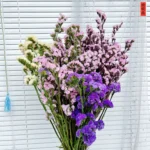 PPF17 Myosotis Alpestris Dry Forget Me Not Flowers Natural Preserved Do Not Forget Me Flowers Real Flower for Wedding Decor - Image 5