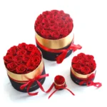 Real Natural Long Life Lasting Everlasting Immortal Forever Eternal Preserved Roses Head Flower in Gift Box for Valentines Gift - Image 5