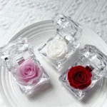 In Ring Box Crystal Eternal Forever Rose Valentine Mother's Day Gift with Preserved Rose - Image 3