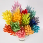 PPL30 Hare Tail Grass Hot Sell a Grade Real Natural Hare Dried Flowers Bunny tails Grass Dried Flower Pallas Grass - Image 6