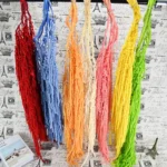 PPL01 Amaranth Princess Feather Preserved Hanging Amaranth Princess Feather Elegant Christmas & Wedding Decorations