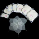 PPL39 Linden Leaves Vein Bodhi Tree Skeleton Leaves - Image 6