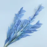 PPL25 Fishtail Leaf Wholesale Real Natural Flower Big Leaves Preserved Ruscus for Flower Arrangement - Image 4