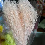 PPL37 Lepidium Apetalum Hanging Plant Ivy Hanging Garland Succulent String of Pearls for Wall Home Decor Natural Immortal Plant - Image 5