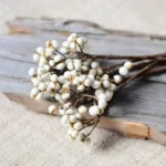 PPS01 Natural Dried Tallow Berries Small Ginkgo Flower for Decoration Preserved Seed Sapium Christmas Thanksgiving Factory Price - Image 4