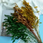 PPL09 Chasmanthium Latifolium High Quality Wholesale Dried Flowers Bouquet Chasmanthium Latifolium for Wedding/Home Decoration - Image 3