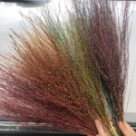 PPL26 Fontanesia Eternal Plants Flower Arrangement Preserved White Snow Willow Branch Willow Tree Branches - Image 2