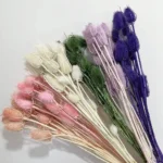 PPS08 Dipsacus Sativus Eryngium Preserved Thistle-Teasel Stalks Dried Teasel Preserved Teasel for Flower Arrangement Decoration