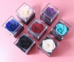Manufacturers Popular New Rose Immortal Flower Gift Box for Necklaces Rings Jewellery-for Weddings Mother's Days Graduations - Image 5