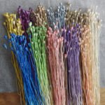 PPS06 Common poppy Seeds 2024 Hot Selling Dried Flower Corn poppy Flower for Home Decoration - Image 3