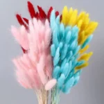 PPL30 Hare Tail Grass Hot Sell a Grade Real Natural Hare Dried Flowers Bunny tails Grass Dried Flower Pallas Grass - Image 4