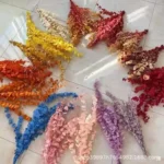 PPL61 Silver-leaved Mountain Gum Hot Selling Preserved Real Eucalyptus Leaves for Home Wedding Decoration - Image 2