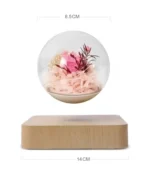 New Magnetic Levitation Flower Rose Light Gift Living Room Bedside LED Levitating Floating Table Home Decoration Lamp - Image 2