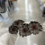 PPF16 Leucadendron Factory Wholesale king Protea Dried Flowers Natural for Wedding Decoration - Image 6