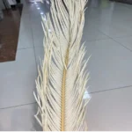 PPL59 Sago Cycas Leaf Pinnate Leaf Cycas Revoluta Thumb Preserved Flowers Sago Palm Leaves Dried for Wedding Decoration Popular - Image 4