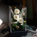 Wholesale Wedding Favor Boxes Mother's Day Gifts.flower Glass Dome. Preserved Dandelion in Glass for Valentine's Day Gifts - Image 2