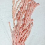 PPL32 Huangye Natural Preserved Flowers Bouquet Making Beautiful Fresh Style Home Decoration Christmas Valentine's Day - Image 5