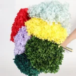 PHA01 Anna Hydrangea 18 Natural Solid Colors Handmade Preserved Hydrangea Flowers Long-term Preservation for Valentine's Day - Image 3