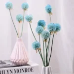 PPS17 Pristimera Cambodian Natural Dried Flower Windmill Fruits Stabilized Plants Immortal  Garden Decor Wedding Decoration - Image 6